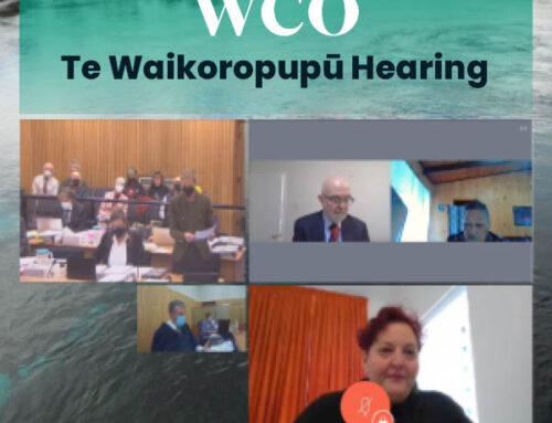 WCO Te Waikoropupū Hearing